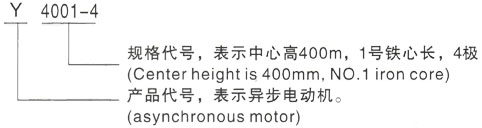 西安泰富西玛Y系列(H355-1000)高压YKK5001-8/400KW三相异步电机型号说明