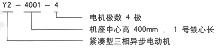 YR系列(H355-1000)高压YKK5001-8/400KW三相异步电机西安西玛电机型号说明